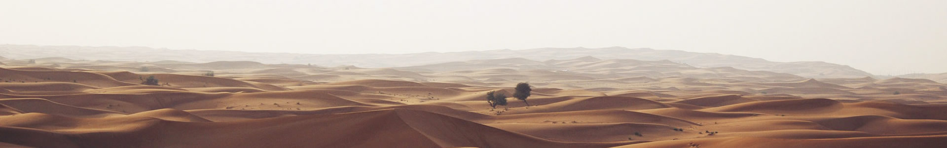 ݰϢ޹˾